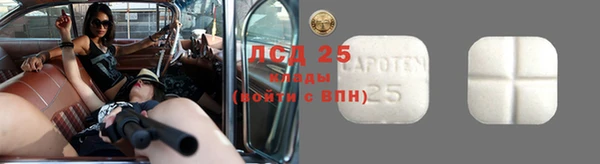 крисы Красноперекопск