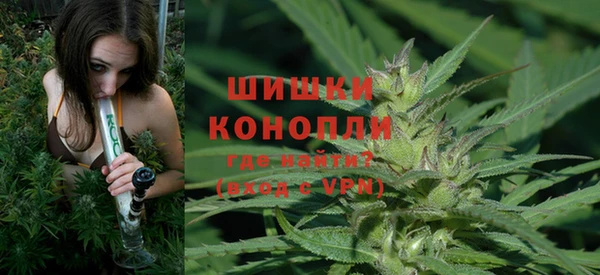 крисы Красноперекопск
