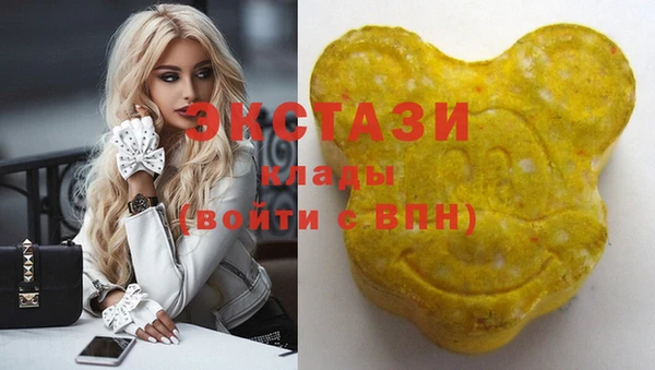 тгк Краснослободск