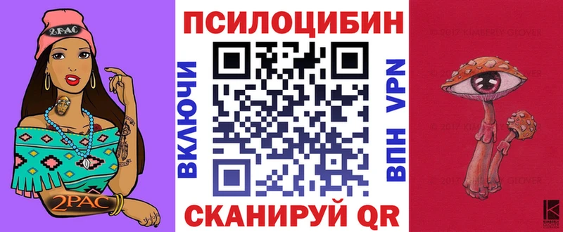 Псилоцибиновые грибы GOLDEN TEACHER  где купить наркоту  Сураж 